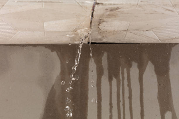 Professional Structural Drying technician working in Bahama, NC